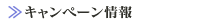 �{��z�e���F�X�J�C�^���[�F�L�����y�[�����